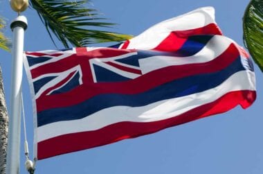 Hawaii state flag flying with palm tree in background.