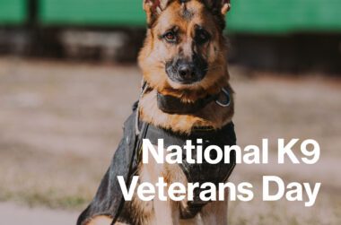NATIONAL K9 VETERANS DAY