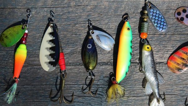 NON RESIDENT DISABLED VETERAN FISHING LICENSE BY STATE
